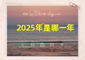 2025年是哪一年