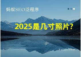 2025是几寸照片?