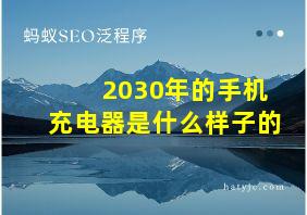 2030年的手机充电器是什么样子的