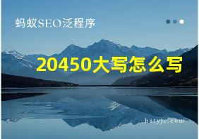 20450大写怎么写