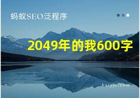 2049年的我600字