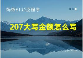 207大写金额怎么写