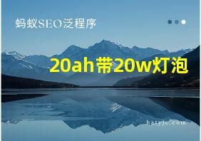 20ah带20w灯泡