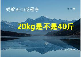 20kg是不是40斤