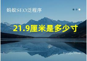 21.9厘米是多少寸