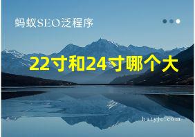 22寸和24寸哪个大