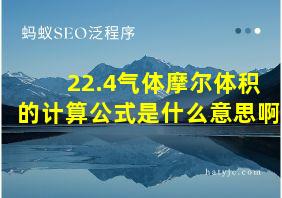 22.4气体摩尔体积的计算公式是什么意思啊