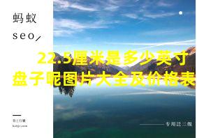 22.5厘米是多少英寸盘子呢图片大全及价格表