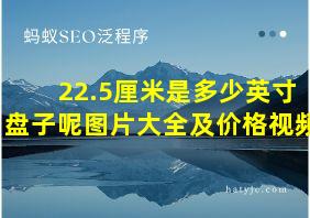 22.5厘米是多少英寸盘子呢图片大全及价格视频