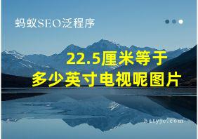 22.5厘米等于多少英寸电视呢图片