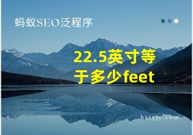 22.5英寸等于多少feet