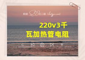 220v3千瓦加热管电阻