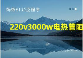 220v3000w电热管阻值