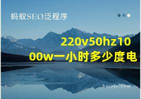 220v50hz1000w一小时多少度电