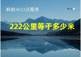 222公里等于多少米