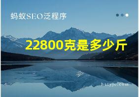 22800克是多少斤