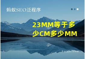 23MM等于多少CM多少MM