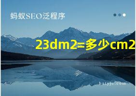 23dm2=多少cm2