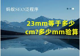 23mm等于多少cm?多少mm验算