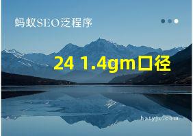 24 1.4gm口径