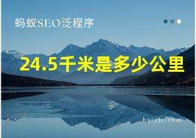 24.5千米是多少公里