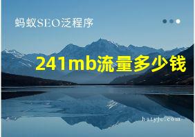 241mb流量多少钱