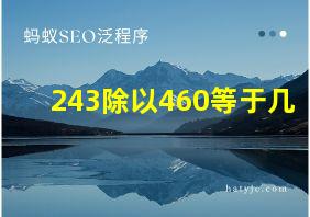 243除以460等于几