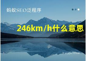 246km/h什么意思