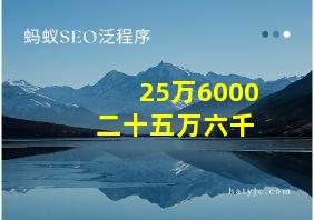 25万6000+二十五万六千