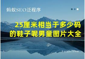 25厘米相当于多少码的鞋子呢男童图片大全