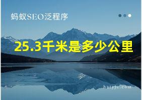 25.3千米是多少公里