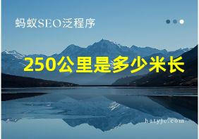 250公里是多少米长