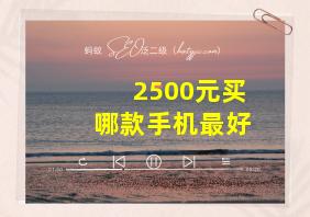 2500元买哪款手机最好