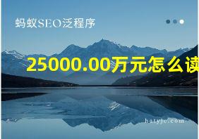 25000.00万元怎么读