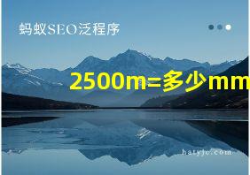 2500m=多少mm