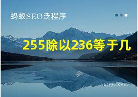 255除以236等于几