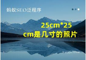 25cm*25cm是几寸的照片