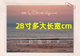 28寸多大长宽cm