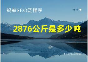 2876公斤是多少吨