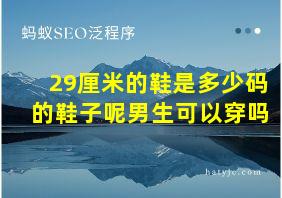 29厘米的鞋是多少码的鞋子呢男生可以穿吗