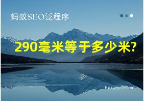 290毫米等于多少米?