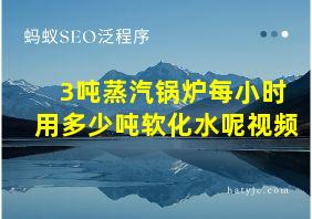 3吨蒸汽锅炉每小时用多少吨软化水呢视频