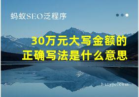 30万元大写金额的正确写法是什么意思