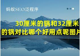 30厘米的锅和32厘米的锅对比哪个好用点呢图片