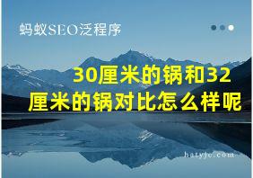 30厘米的锅和32厘米的锅对比怎么样呢