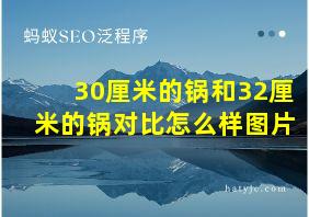 30厘米的锅和32厘米的锅对比怎么样图片