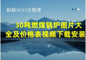 30吨燃煤锅炉图片大全及价格表视频下载安装