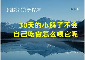 30天的小鸽子不会自己吃食怎么喂它呢