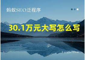 30.1万元大写怎么写