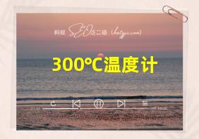 300℃温度计